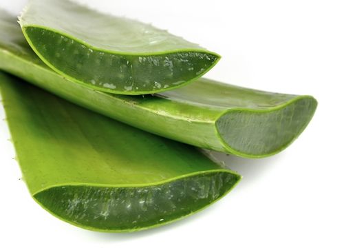 Aloe-veranin-faydalari